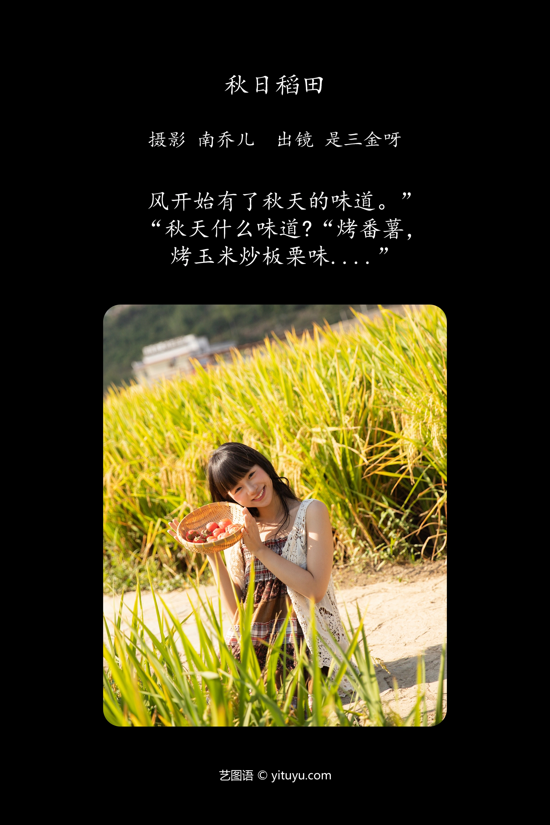 [YITUYU艺图语]2024.12.14 秋日稻田 是三金呀 0